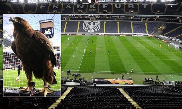  法兰克福主场击败拜仁终结对手十二连胜纪录  